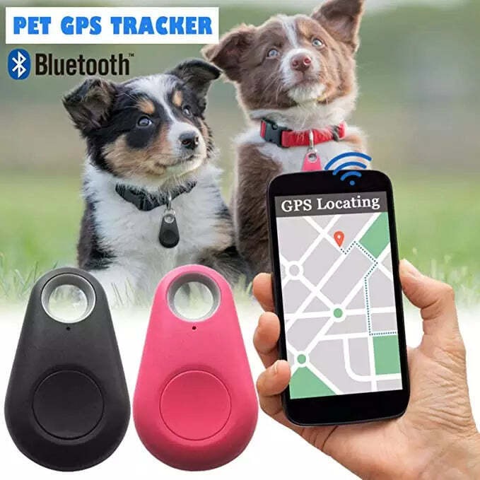 Hondentracker | GPS Tracker | GPS Locator | Tracker op Kat | Huisdiertracker-Boetiek Moda