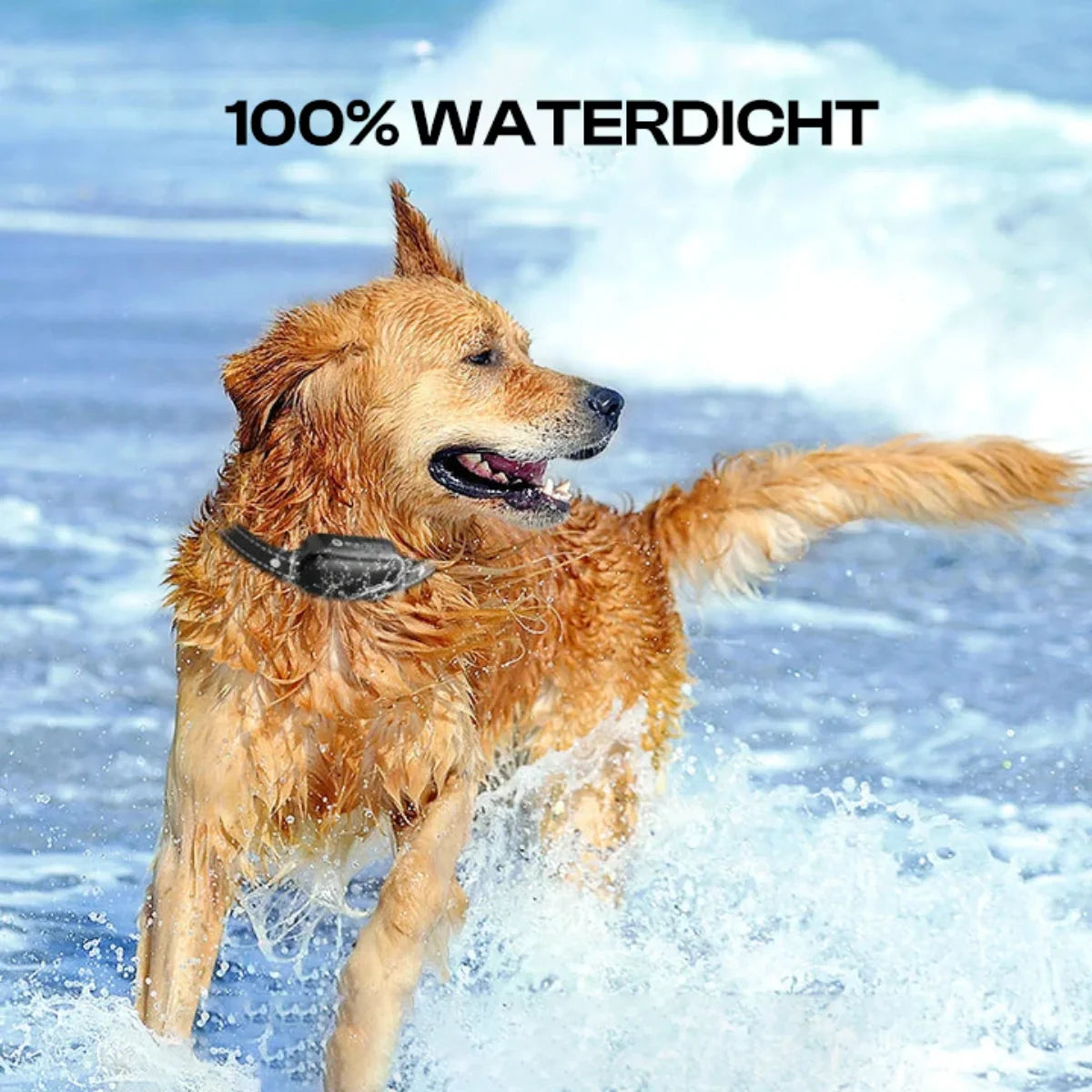 Schokhalsband voor honden | Vibrerend | Afstandsbediening | Elektrische Halsband voor Honden | Halsband voor Hondentraining-Boetiek Moda