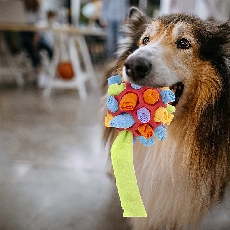 BarkBite | Beste kauwspeeltje voor huisdieren-Boetiek Moda