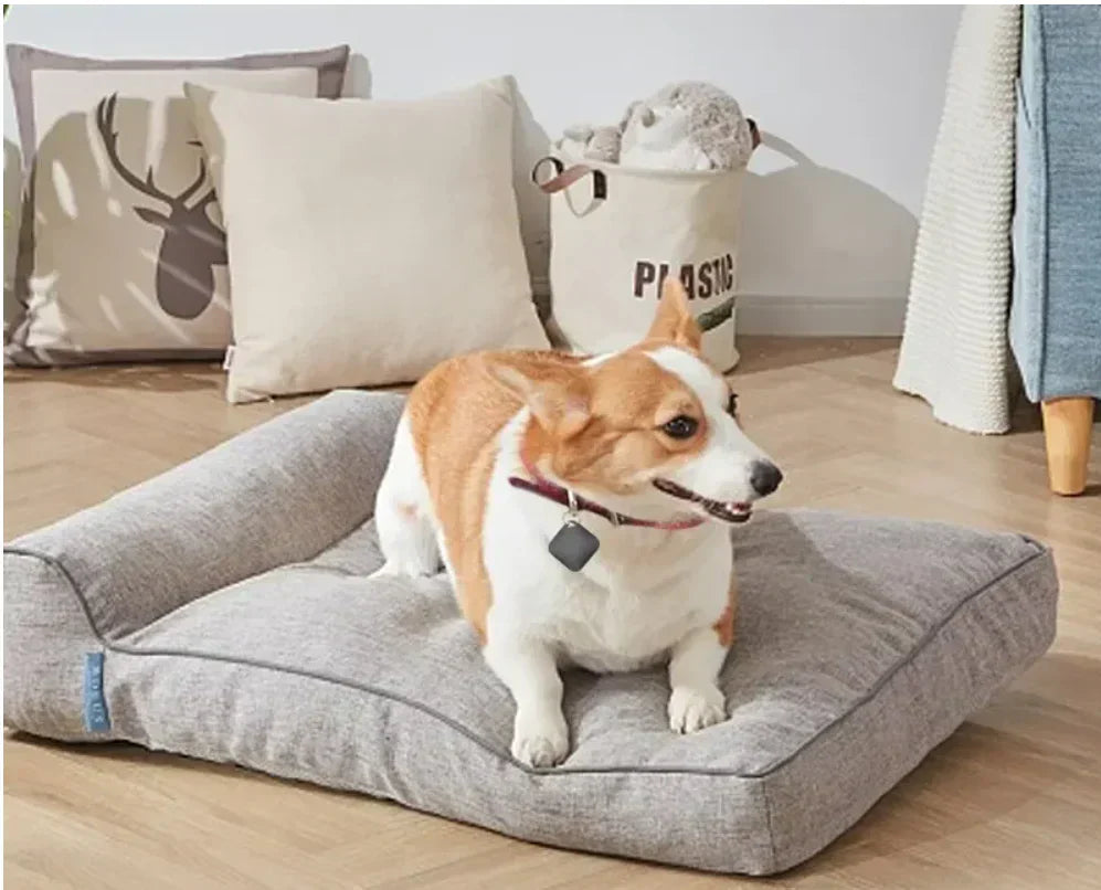 GPS-tracker | Klein | Live GPS-tracker | GPS-tracker voor sleutels | Huisdierentracker-Boetiek Moda