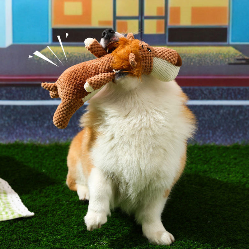 Hondenspeelgoed | Knuffel | Teddybeer | Pluche speelgoed voor honden | Speelgoed voor huisdieren-Boetiek Moda