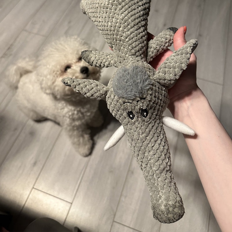 Hondenspeelgoed | Knuffel | Teddybeer | Pluche speelgoed voor honden | Speelgoed voor huisdieren-Boetiek Moda