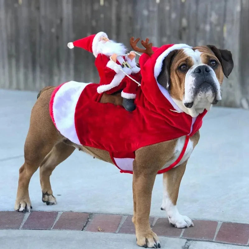 Kerstkostuums voor honden | Kerstman | Kleine honden | Kerstoutfit voor honden | Kerstman-kostuum voor honde-Boetiek Moda